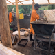 Talash Hujibers' firm InsectiPro is one of a few hoping to position East Africa as a successful hub for insect protein.